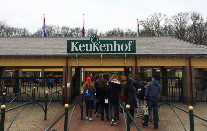 Keukenhof2