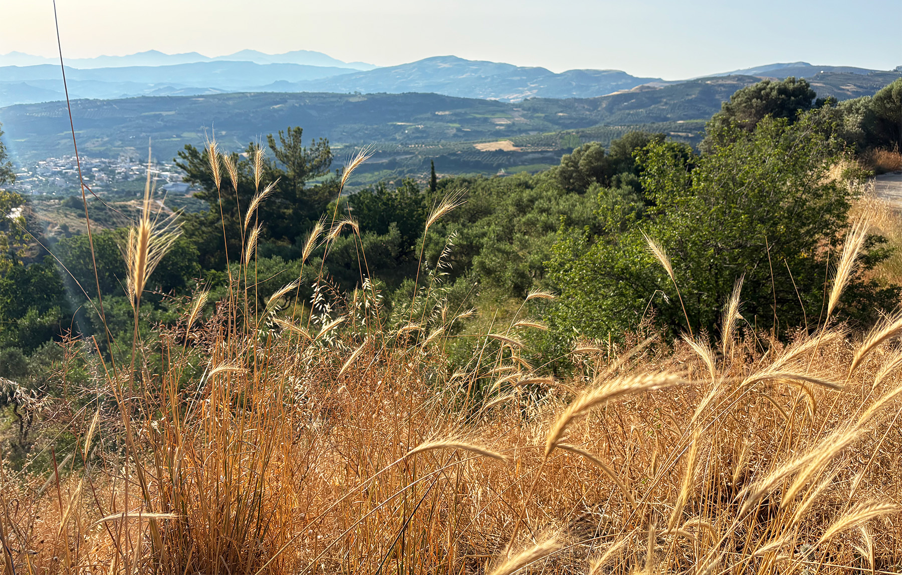 Another Adventure in Crete