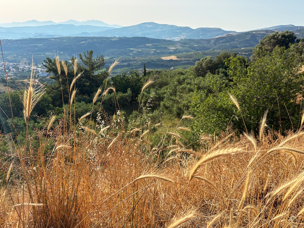 Another Adventure in&nbsp;Crete